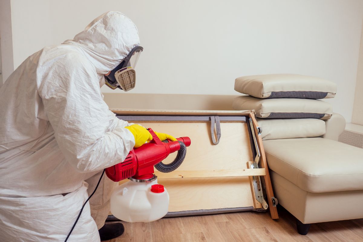 Pest Control Services: Ensuring a Safe, Clean, and Pest-Free Environment for Your Home and Business